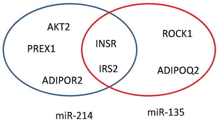 Fig.2