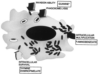 FIG. 5