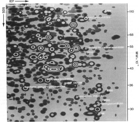 graphic file with name pnas00287-0050-a.jpg