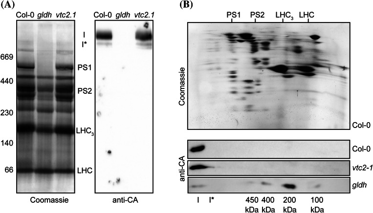 Fig. 4