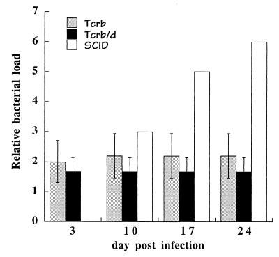 FIG. 6