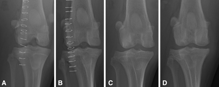 Fig. 3A–D