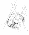 <i>Figure 3</i>