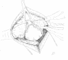 <i>Figure 4</i>