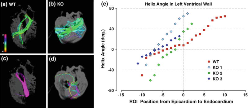 FIG. 6