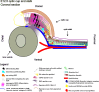 Figure 3