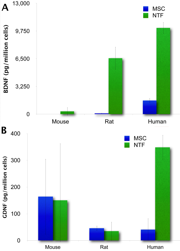 The amount of BDNF and GDNF secreted by NTF+ cells is species specific. 