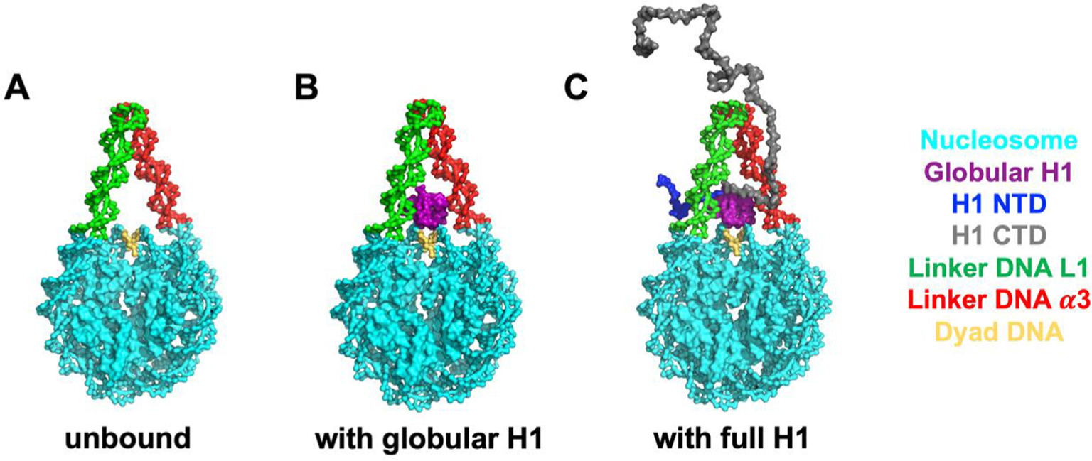 Figure 1.