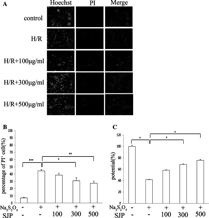 Fig. 3