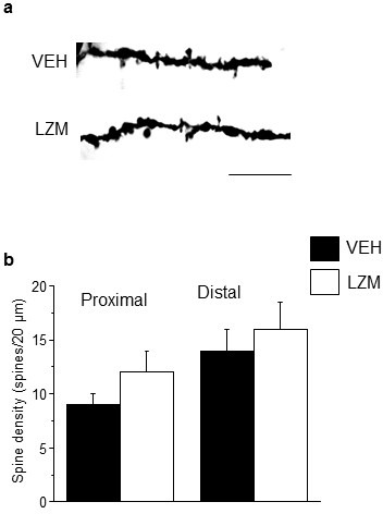 Figure 3—figure supplement 1.