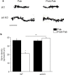 Figure 1—figure supplement 2.