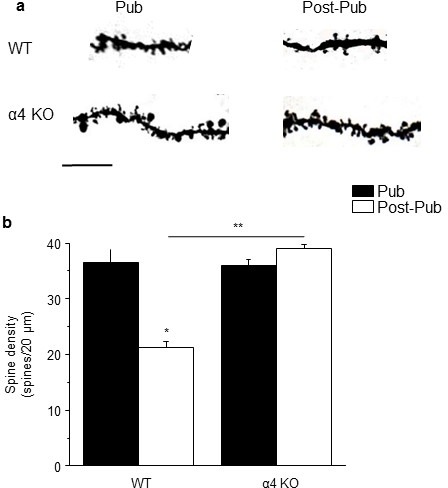 Figure 1—figure supplement 2.