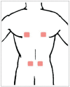 Fig. 3.