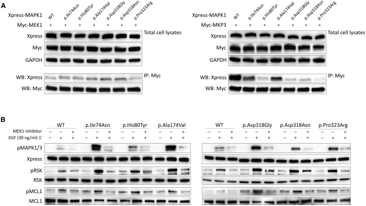 Figure 6