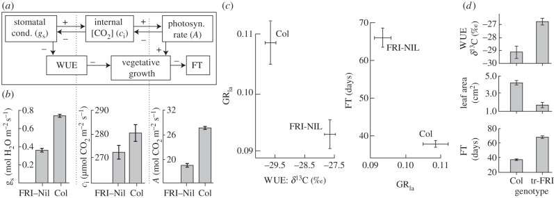 Figure 3.