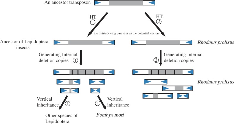 Fig. 6.—