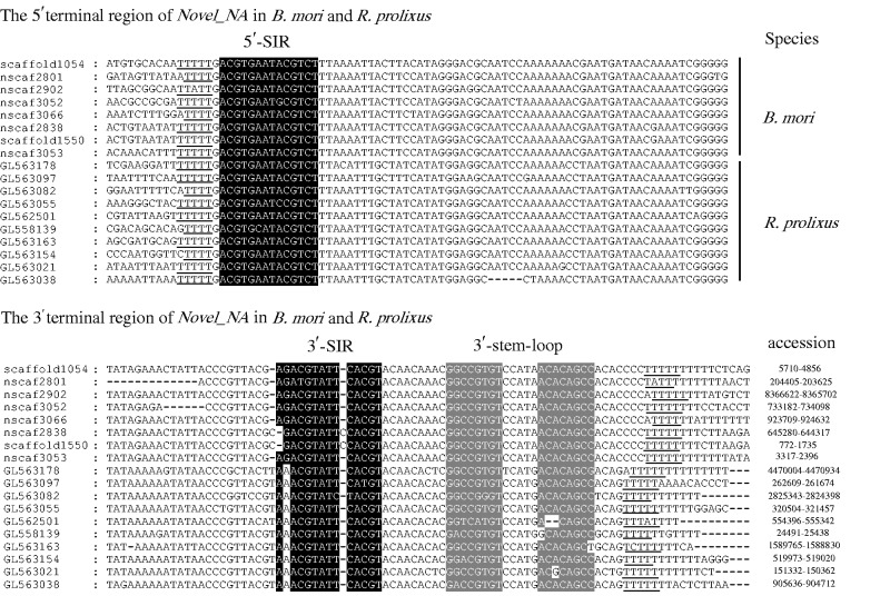 Fig. 3.—