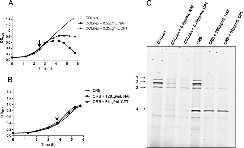 FIG 5