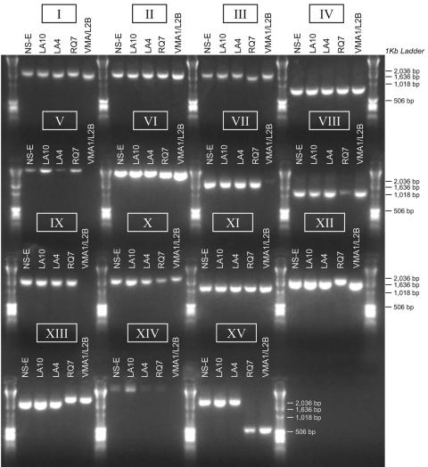 FIG. 4.