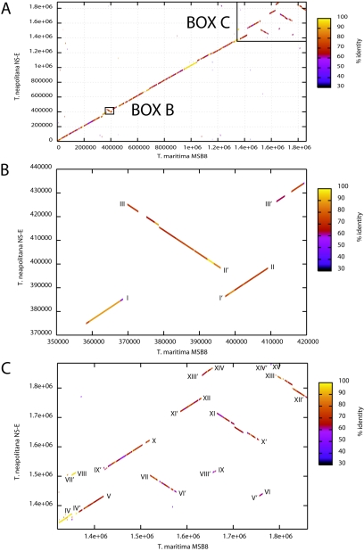 FIG. 1.