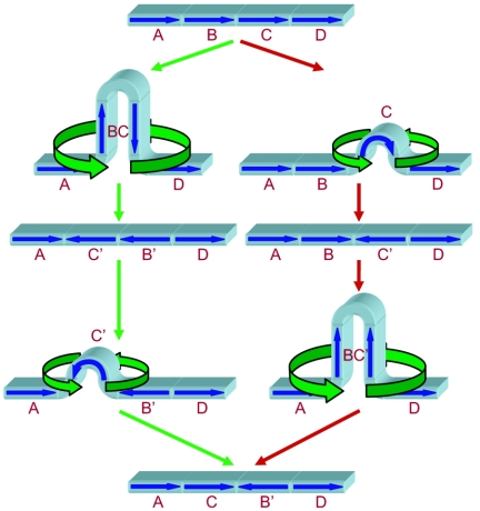 FIG. 5.