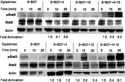 Fig. 8.