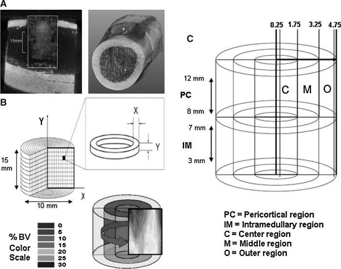 FIG. 1.