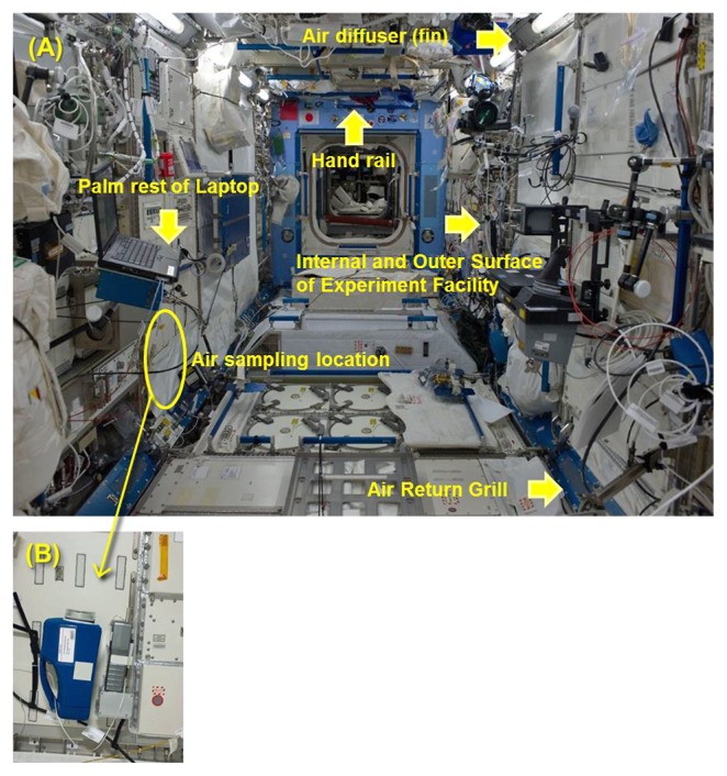 Fig. 1