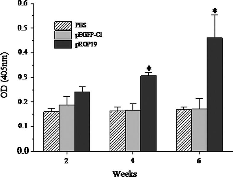 Figure 4.