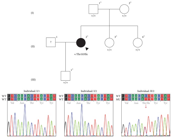 Figure 1