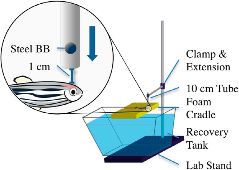 Figure 1.