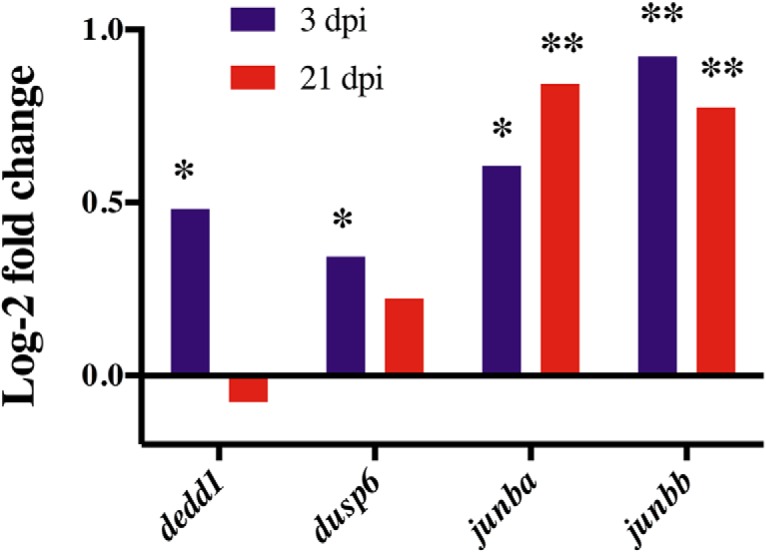 Figure 4.