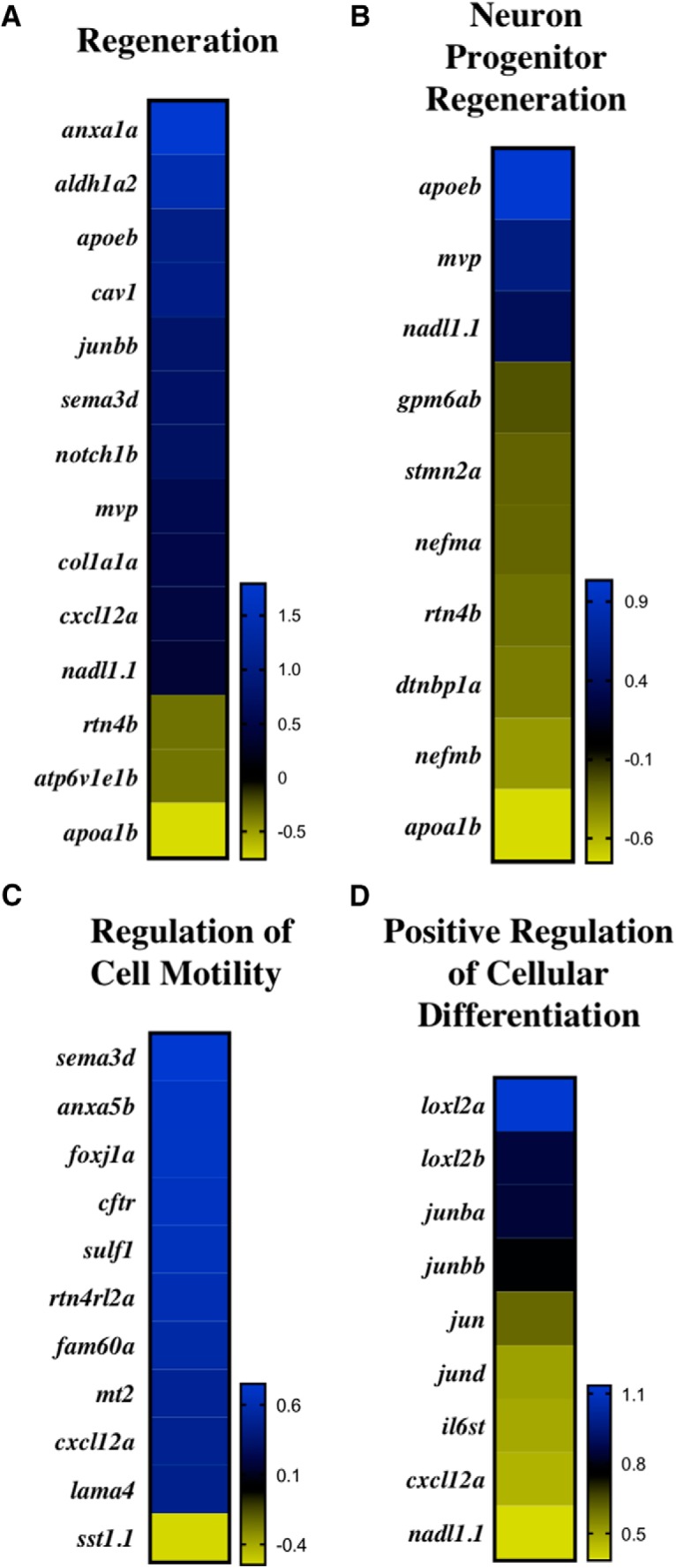 Figure 5.