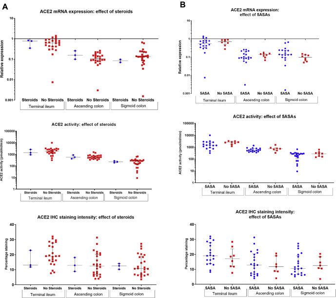 Supplementary Figure 1