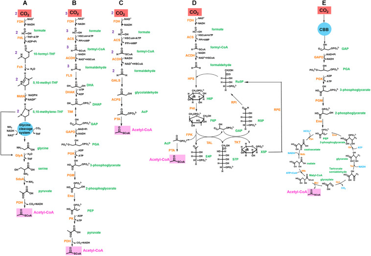 FIGURE 2