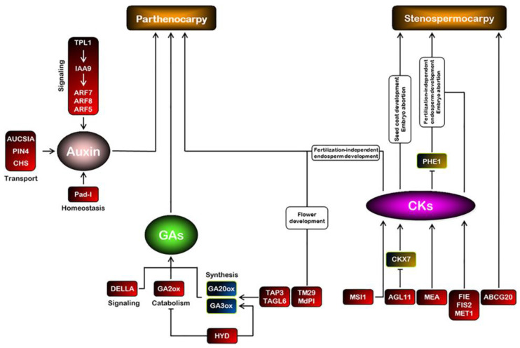 Figure 2