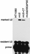 FIG. 6