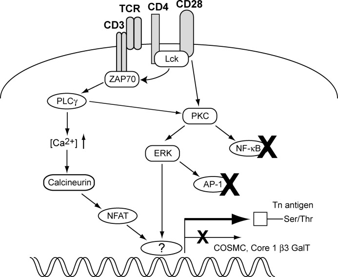 FIGURE 9.