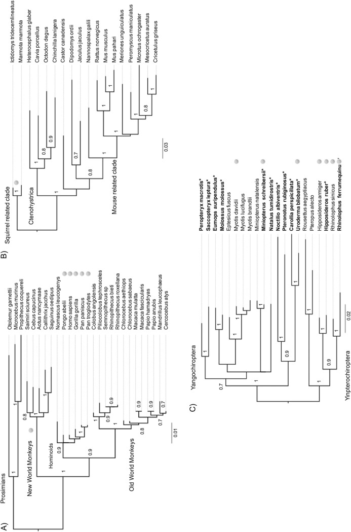 FIG 1