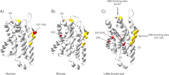 FIG 5