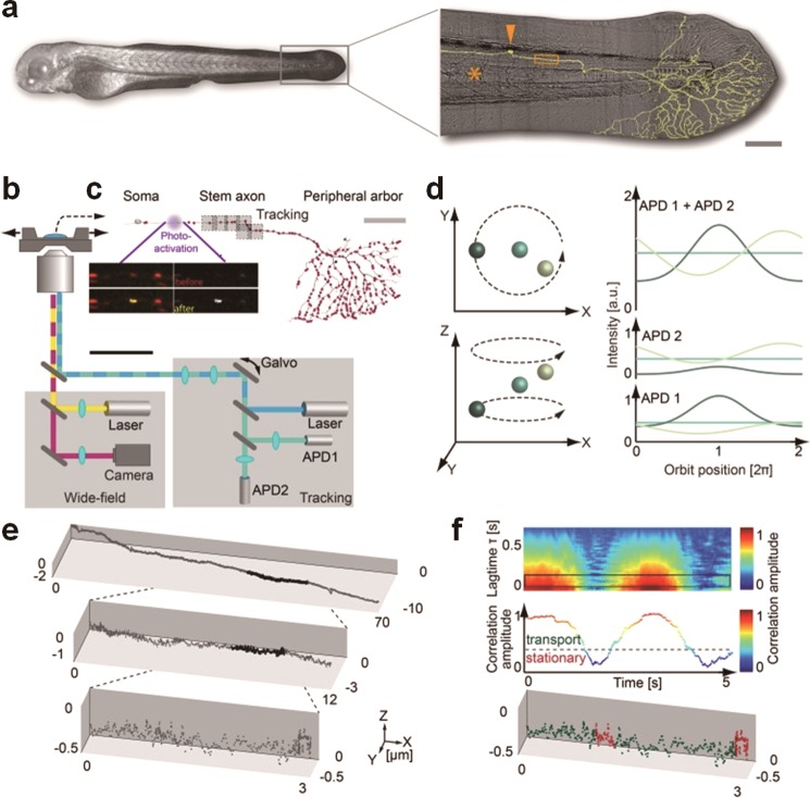 Figure 25
