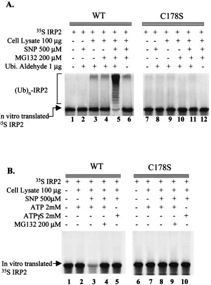 FIG. 5.