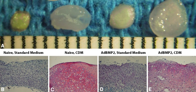 Fig. 4A–E