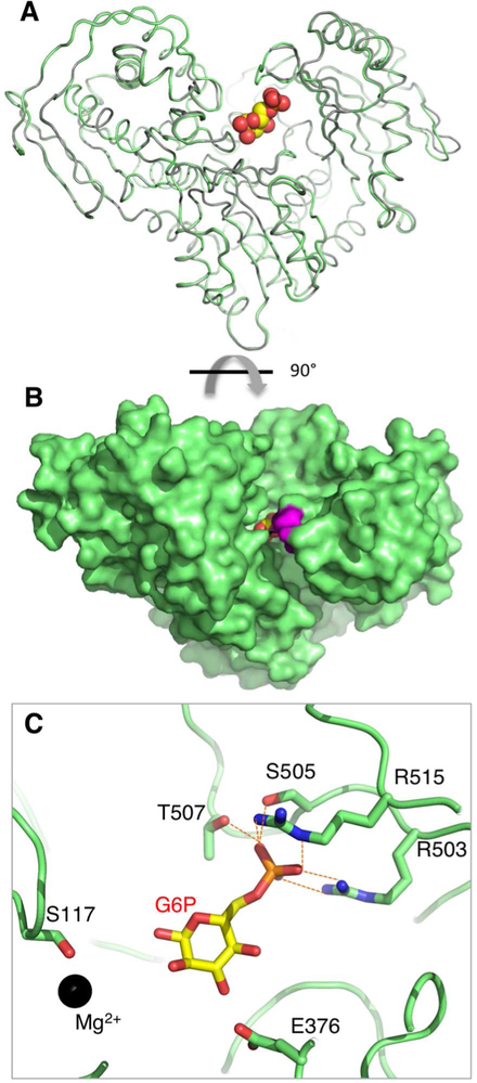 Figure 3.