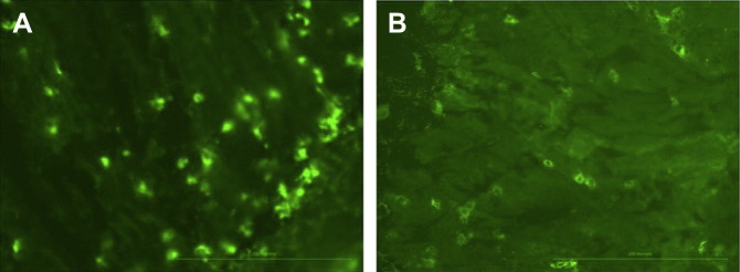 Fig. 3