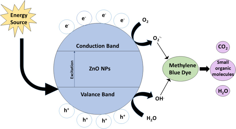 Fig. 7