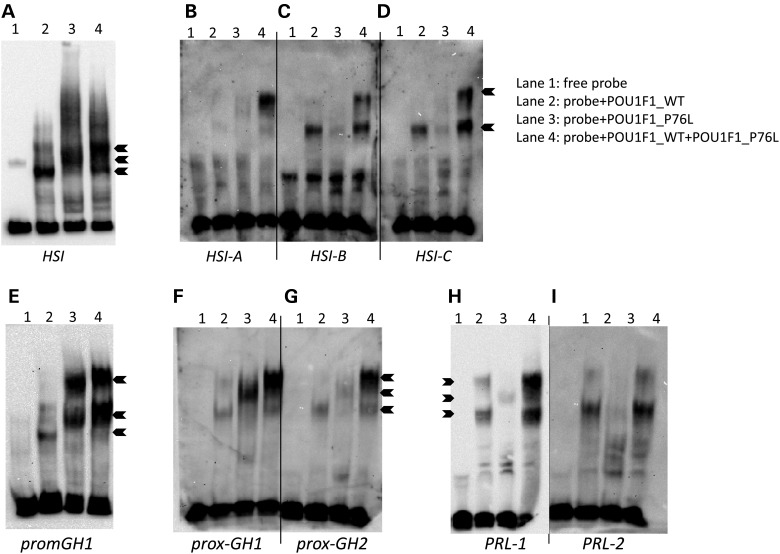 Figure 4.