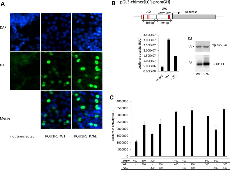 Figure 2.