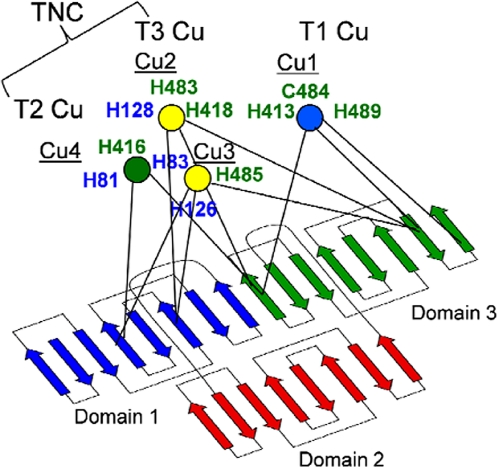 Fig. 1.