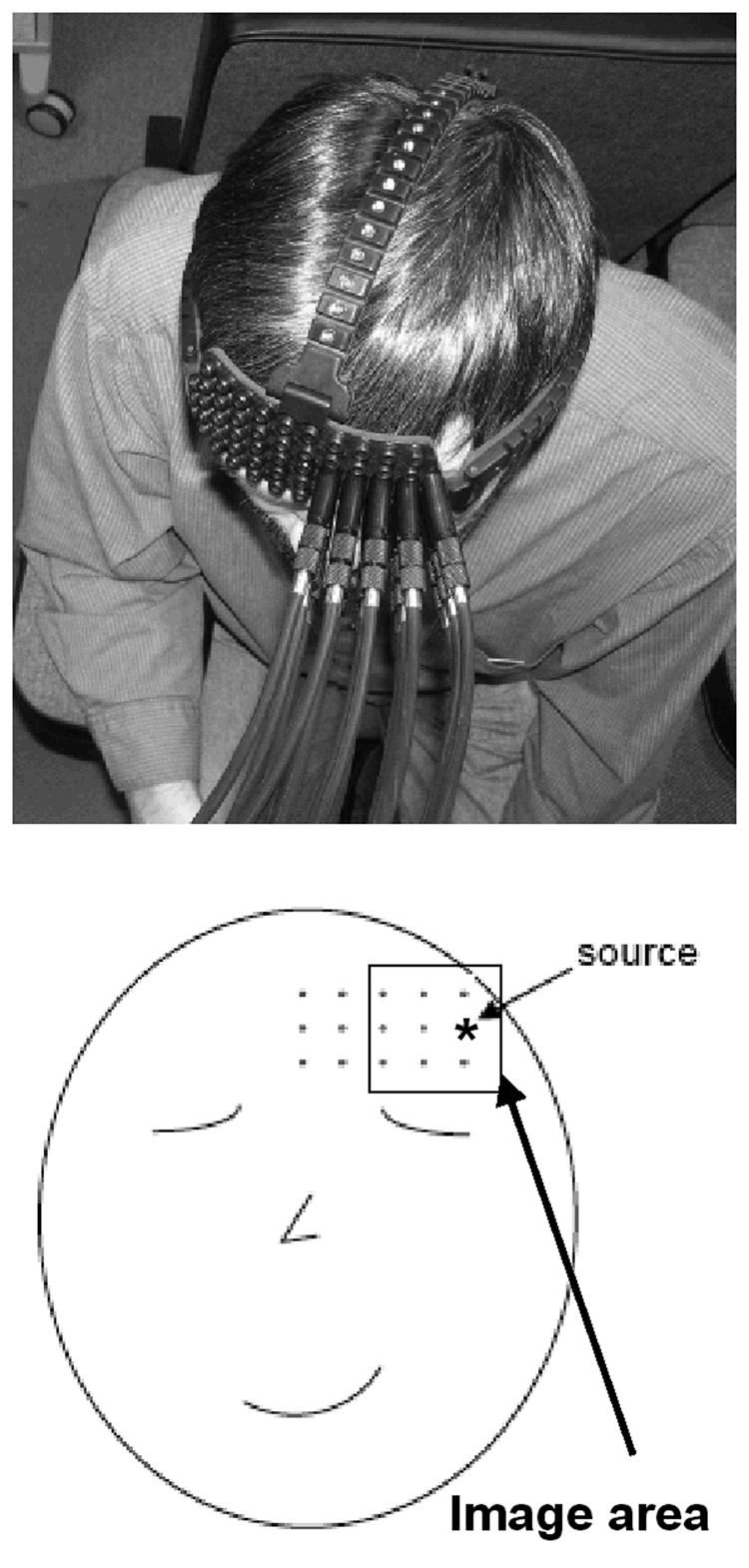 Fig. 1